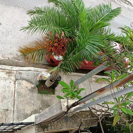 Colibri Lejlighed Playa del Carmen Eksteriør billede