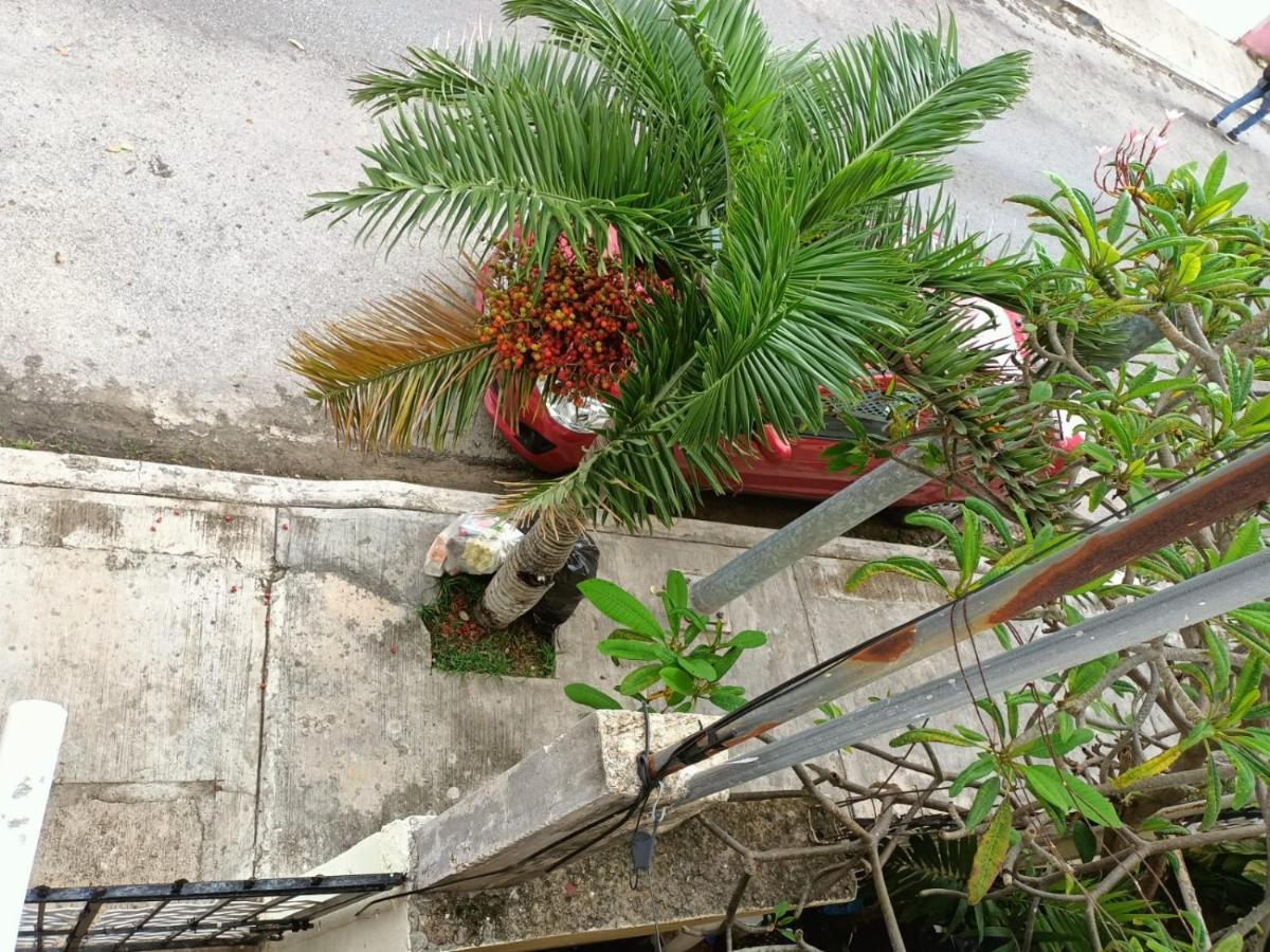 Colibri Lejlighed Playa del Carmen Eksteriør billede